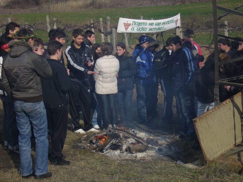 P1020048.JPG