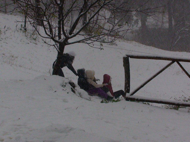 DSC00275.JPG