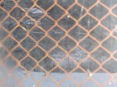 DSC00298.JPG