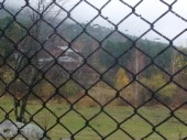 DSC00274.JPG